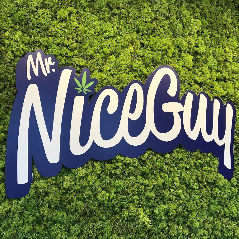 mr nice guy merch