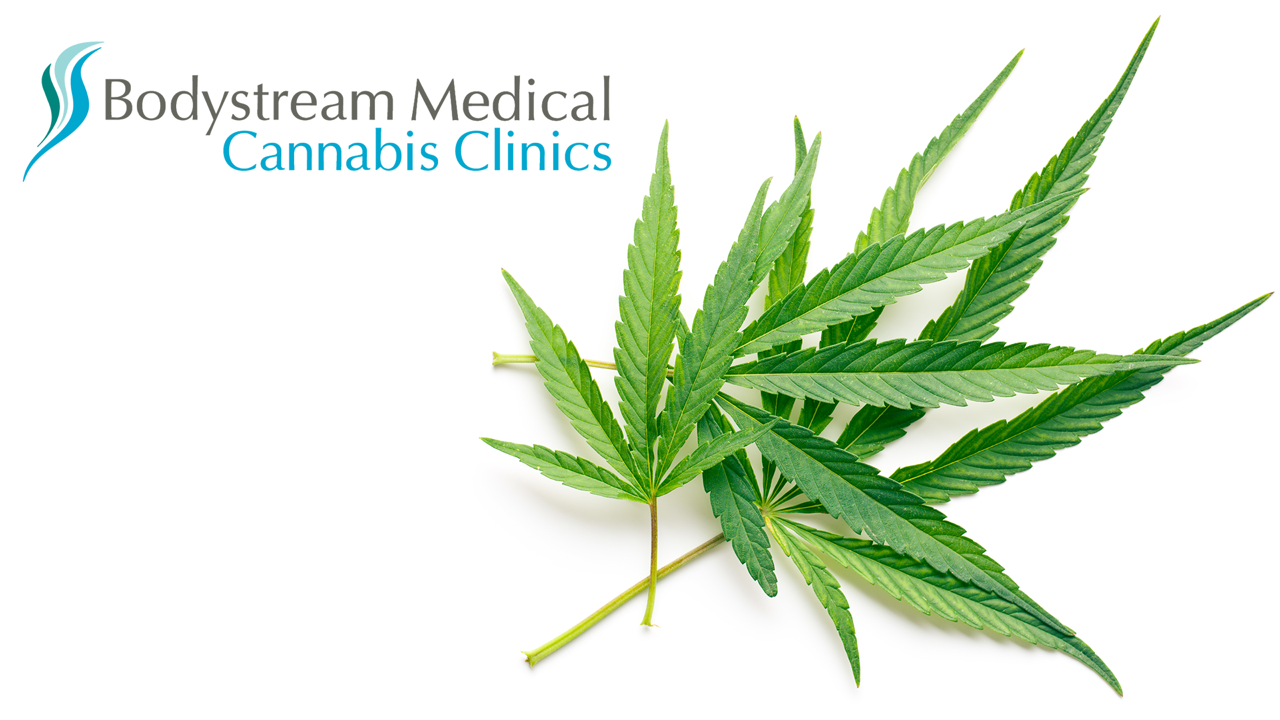 Bodystream Medical Cannabis Clinic - St. Catharines
