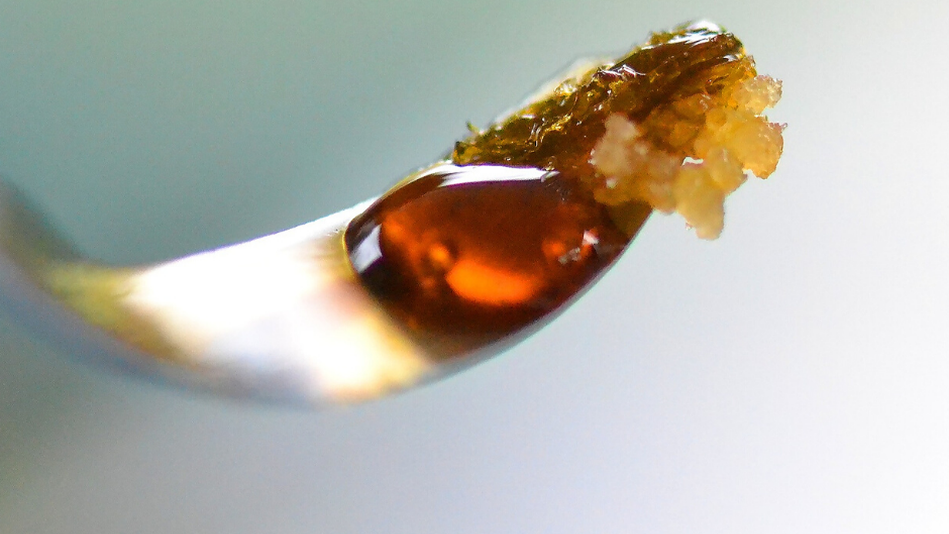 Shatterday 10-20% off Concentrates